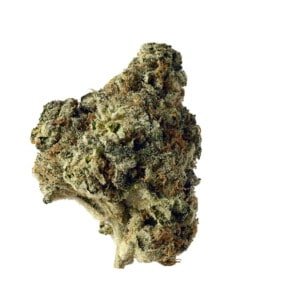 Amsterdam-Genetics-AK-Choco-Kush-Feminized-Cannabis-Seeds-Annibale-Seedshop