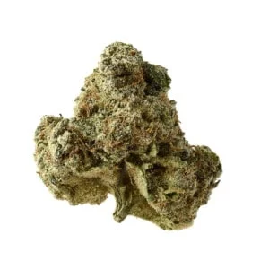 Amsterdam-Genetics-AK-OG-Kush-Feminized-Cannabis-Seeds-Annibale-Seedshop