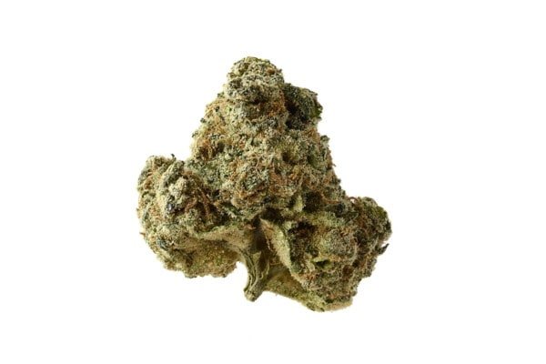 Amsterdam-Genetics-AK-OG-Kush-Feminized-Cannabis-Seeds-Annibale-Seedshop