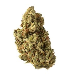 Amsterdam-Genetics-Amazing-Haze-Feminized-Cannabis-Seeds-Annibale-Seedshop-1