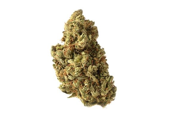 Amsterdam-Genetics-Amazing-Haze-Feminized-Cannabis-Seeds-Annibale-Seedshop-1