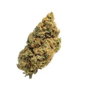 Amsterdam-Genetics-Blue-Amnesia-Feminized-Autoflowering-Cannabis-Seeds-Annibale-Seedshop-1