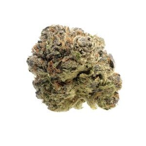 Amsterdam-Genetics-Blue-Monkey-CBD-Feminized-Cannabis-Seeds-Annibale-Seedshop