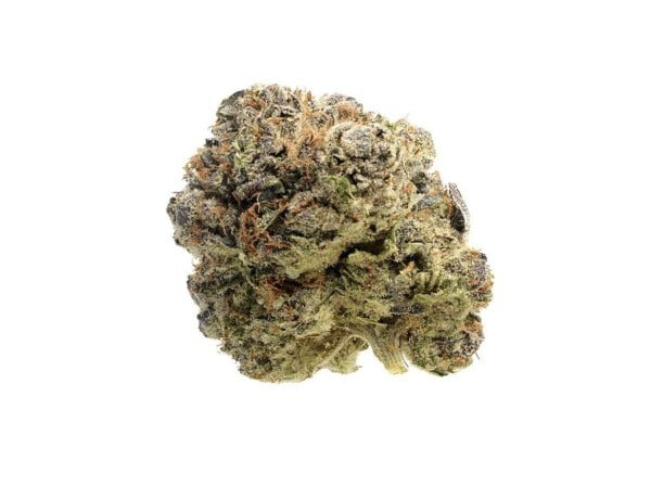 Amsterdam-Genetics-Blue-Monkey-CBD-Feminized-Cannabis-Seeds-Annibale-Seedshop