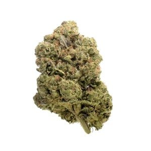 Amsterdam-Genetics-Chunky-Cookies-Feminized-Cannabis-Seeds-Annibale-Seedshop-1