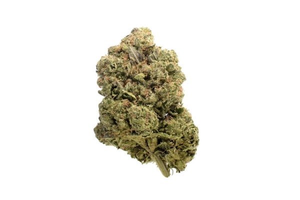 Amsterdam-Genetics-Chunky-Cookies-Feminized-Cannabis-Seeds-Annibale-Seedshop-1