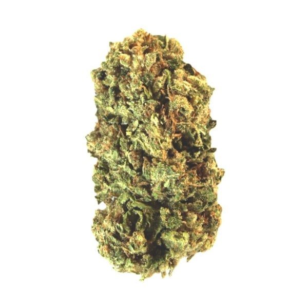 Amsterdam-Genetics-Compromise-CBD-Feminized-Cannabis-Seeds-Annibale-Seedshop-1