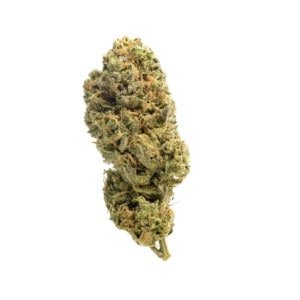 Amsterdam-Genetics-Grapefruit-Superstar-Feminized-Cannabis-Seeds-Annibale-Seedshop-1