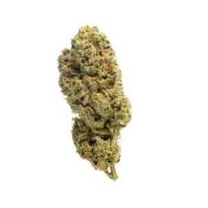 Amsterdam-Genetics-Grapefruit-Superstar-Feminized-Cannabis-Seeds-Annibale-Seedshop-1