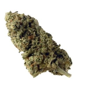 Amsterdam-Genetics-Green-Magic-Feminized-Cannabis-Seeds-Annibale-Seedshop-1