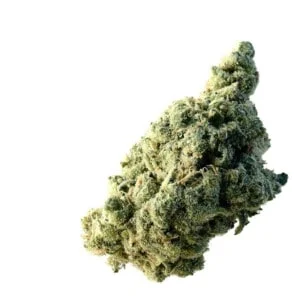 Amsterdam-Genetics-Lemon-Ice-Feminized-Cannabis-Seeds-Annibale-Seedshop-1