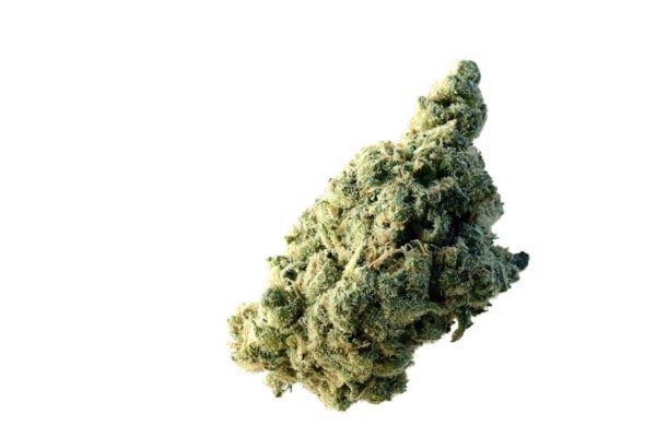 Amsterdam-Genetics-Lemon-Ice-Feminized-Cannabis-Seeds-Annibale-Seedshop-1