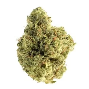 Amsterdam-Genetics-Skywalker-Saga-Feminized-Cannabis-Seeds-Annibale-Seedshop-1