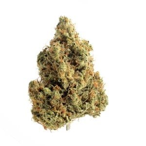 Amsterdam-Genetics-Strawberry-Glue-Feminized-Cannabis-Seeds-Annibale-Seedshop-_2