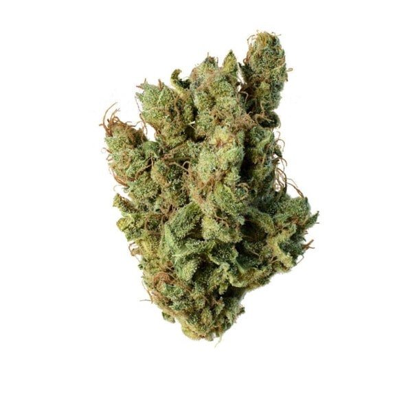 Amsterdam-Genetics-Super-Silver-Haze-Feminized-Cannabis-Seeds-Annibale-Seedshop-1