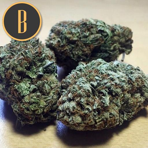 Blimburn-Green-Crack-Feminized-Cannabis-Seeds-Annibale-Seedshop-1