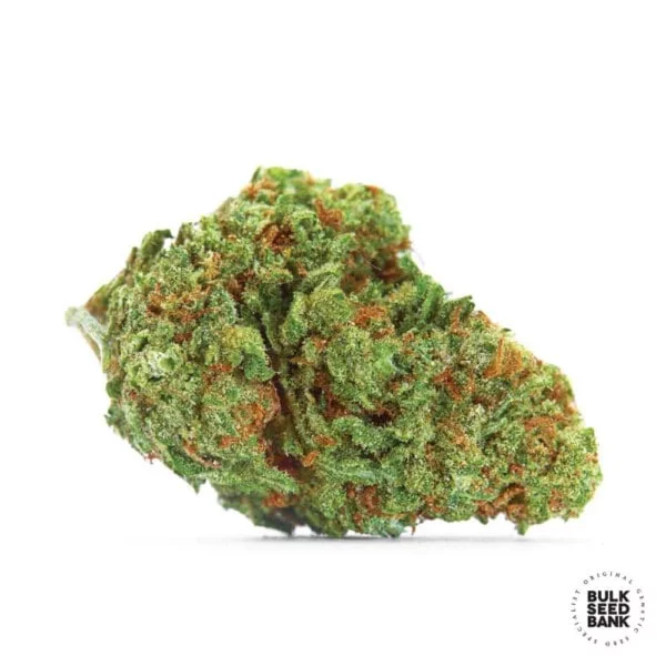 Sour Diesel Auto - Bulk Seedbank - immagine 2