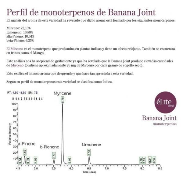 Elite-Seeds-Banana-Joint-Feminized-Cannabis-Seeds-Annibale-Seedshop-2