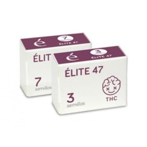 Elite-Seeds-Elite-47-Feminized-Cannabis-Seeds-Annibale-Seedshop