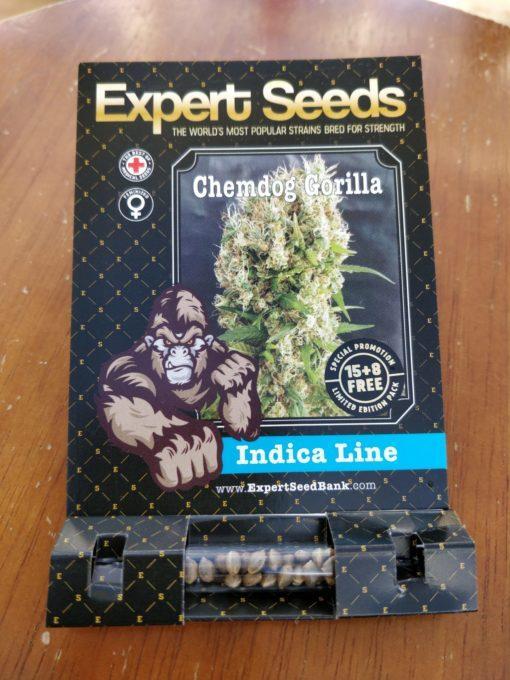 Expert-Seeds-Chemdog-Gorilla-Feminized-Cannabis-Seeds-Annibale-Seedshop-2