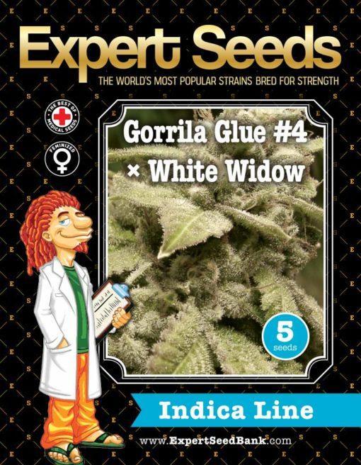 Expert-Seeds-Gorilla-White-Widow-Feminized-Cannabis-Seeds-Annibale-Seedshop-1