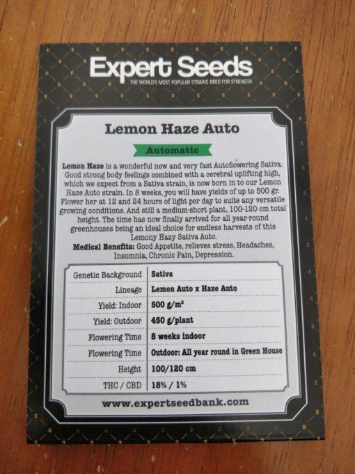 Expert-Seeds-Lemon-Haze-Autoflowering-Feminized-Cannabis-Seeds-Annibale-Seedshop-2