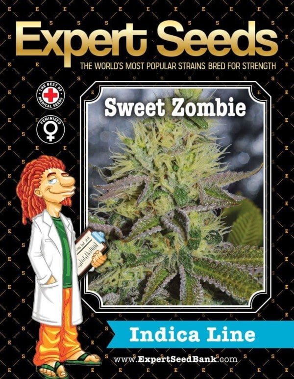 Expert-Seeds-Sweet-Zombie-Feminized-Cannabis-Seeds-Annibale-Seedshop-1