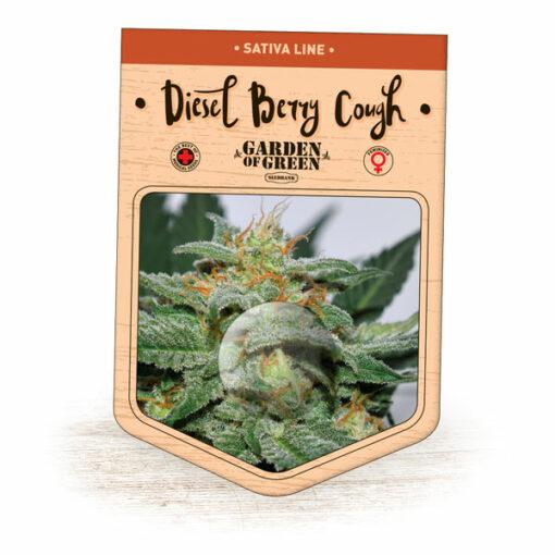 Garden-Of-Green-Diesel-Berry-Cough-Feminized-Cannabis-Seeds-Annibale-Seedshop