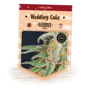 Garden-Of-Green-Wedding-Cake-Feminized-Cannabis-Seeds-Annibale-Seedshop