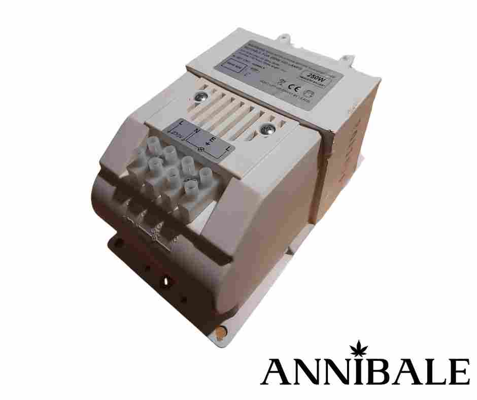 Ballast per Lampade HPS/MH (HID)