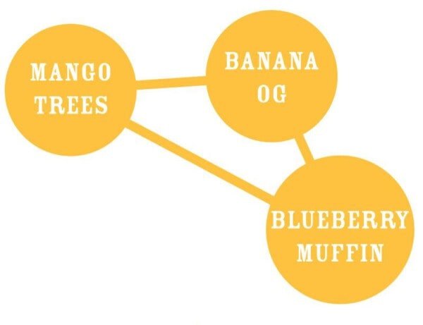 Humboldt-Seed-Company-Banana-Mango-Feminized-Cannabis-Seeds-Annibale-Seedshop-1