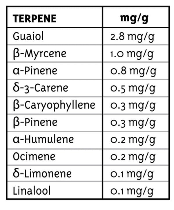 Humboldt-Seed-Company-Pineapple-Muffin-Feminized-Cannabis-Seeds-Annibale-Seedshop-2