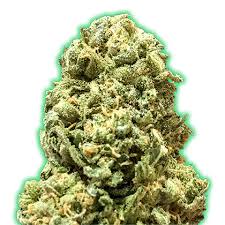 Monster-Genetics-Monster-Girl-Scout-Cookies-Feminized-Cannabis-Seeds-Annibale-Seedshop