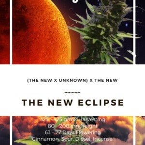 Seedshop-Annibale-Genetics-The-Italian-Collection-The-New-Eclipse-Feminized-Cannabis-Seeds