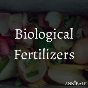 Fertilizzanti Organici