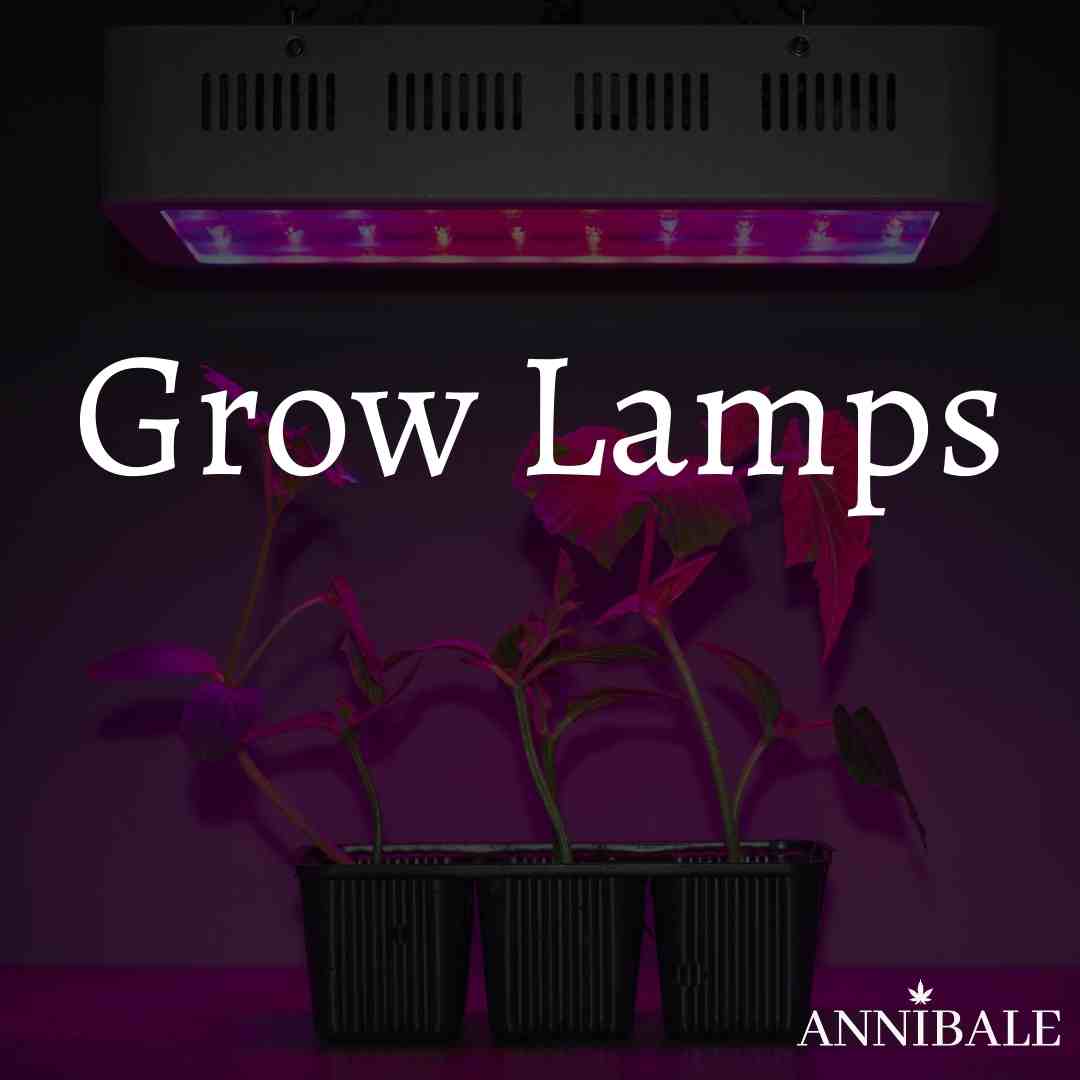 Grow Lamps