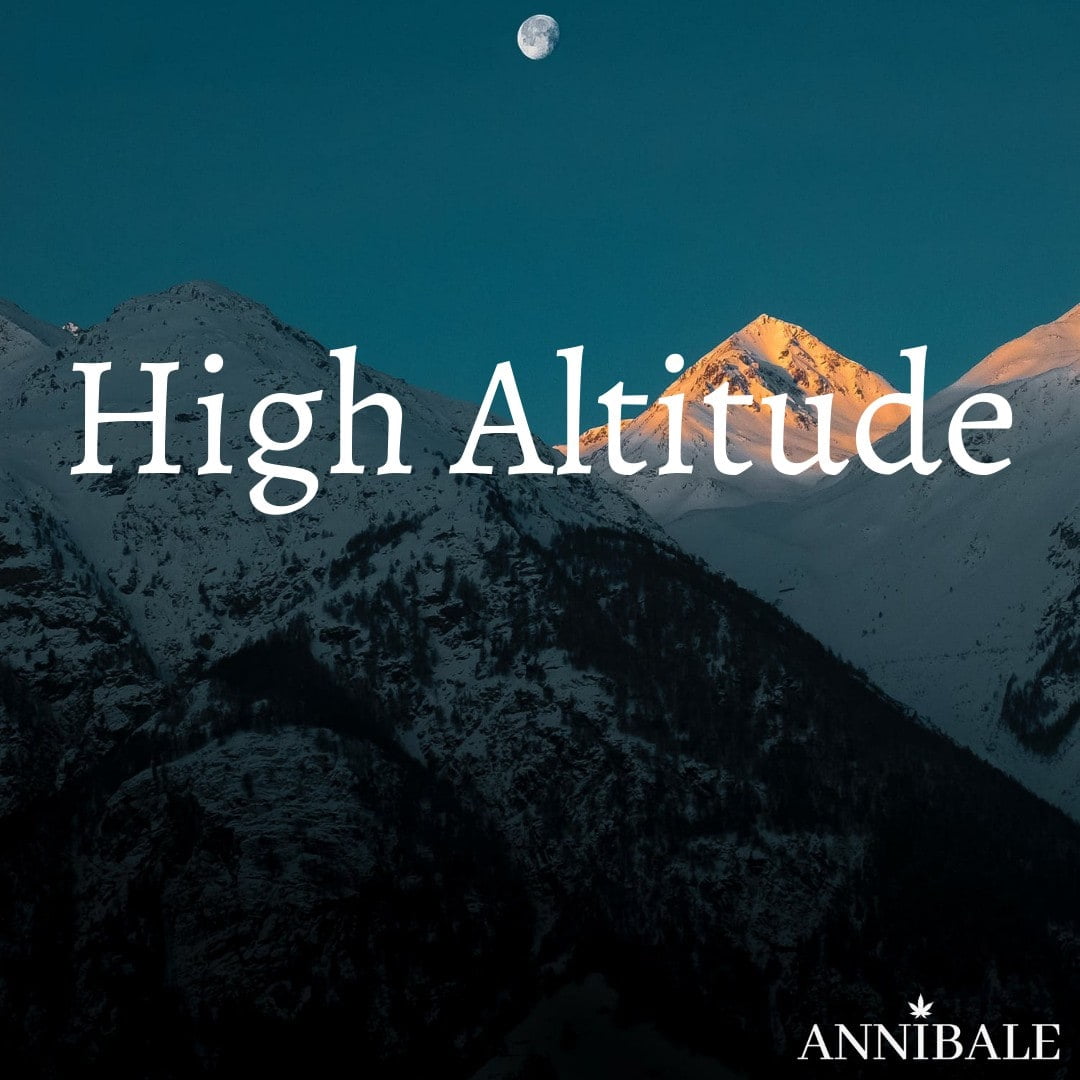 High Altitude Cannabis Seeds