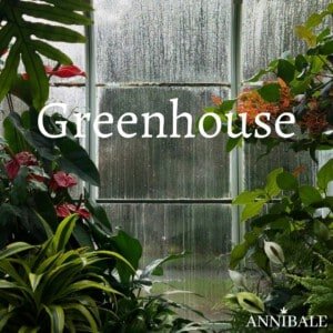 Greenhouse Cannabis Seeds