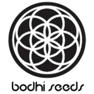 Bodhi Seeds