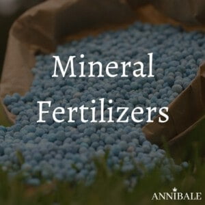 Fertilizzanti Minerali