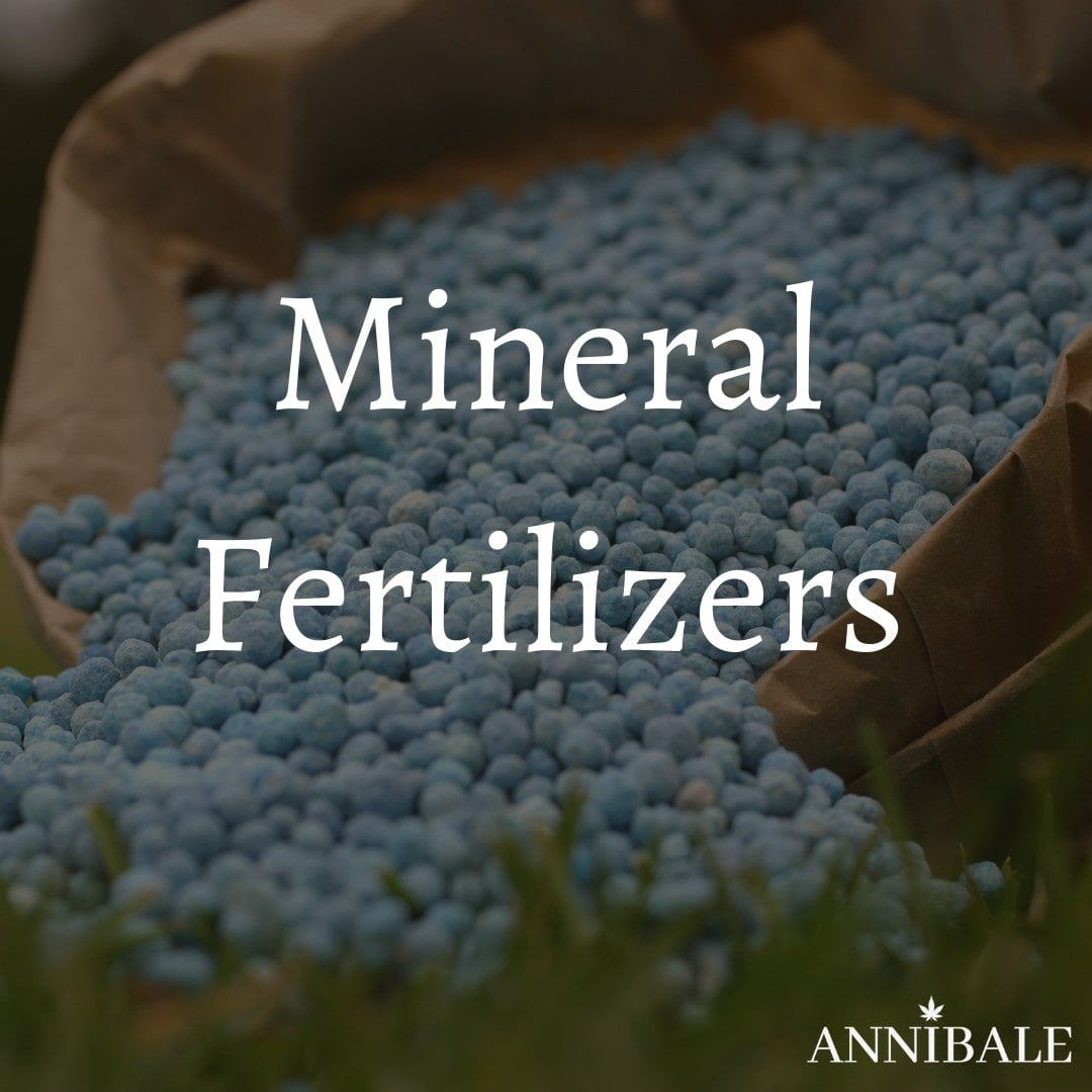 Fertilizzanti Minerali