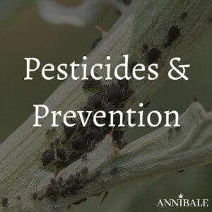 Pesticidi e Prevenzione