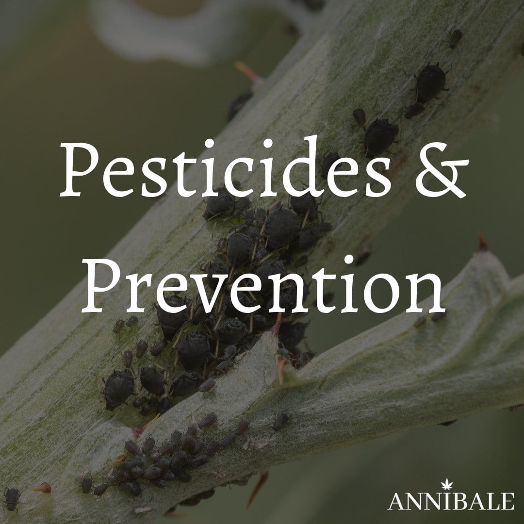 Pesticides & Prevention