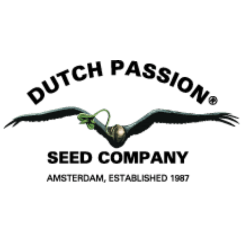 Dutch Passion