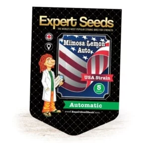 Expert Seeds Mimosa Lemon Autoflowering Feminized Cannabis Seeds Annibale Seedshop