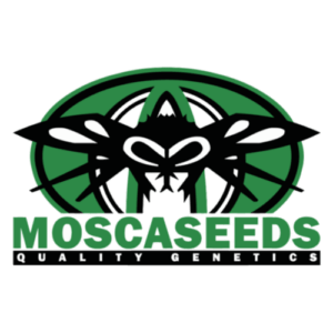 Mosca Seeds