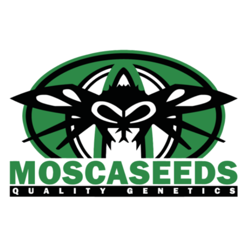 Mosca Seeds