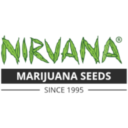 Nirvana Seeds