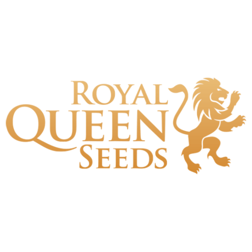 Royal Queen Seeds