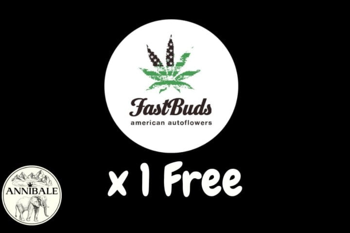 420 Fastbuds Free Seeds 2023